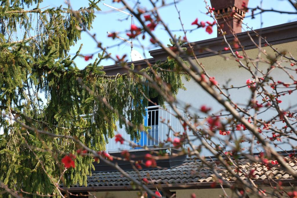 Villa Roma Holidays Езоло Экстерьер фото